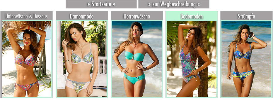 Auswahl Kategorien Dessous